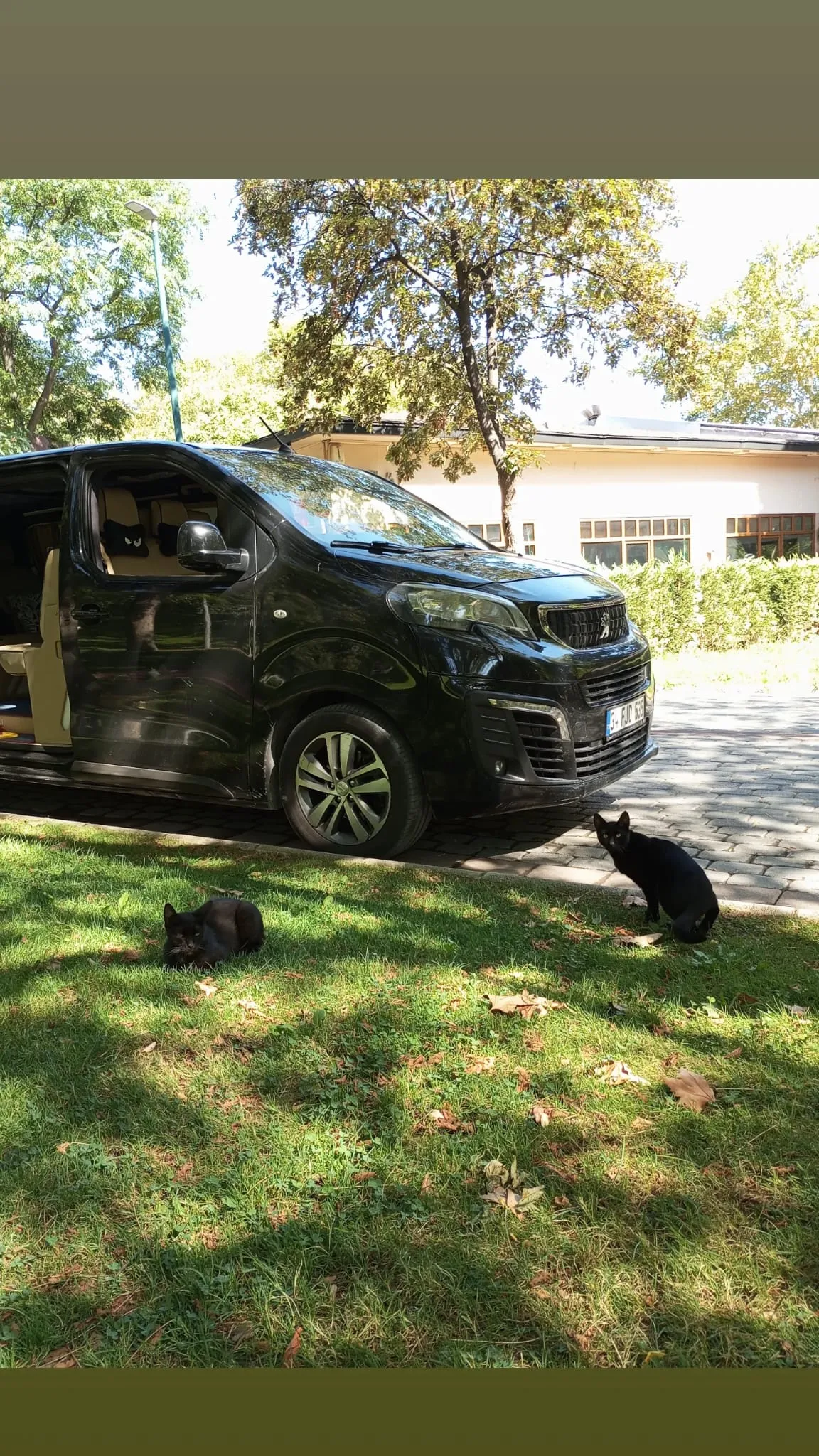 Cny Vip Transfer Hizmetleri